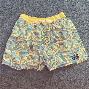 Southern Marsh swim trunks